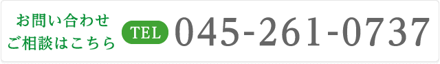 045-261-0737